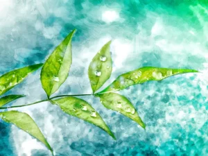 A green leafy branch set against an abstract background.