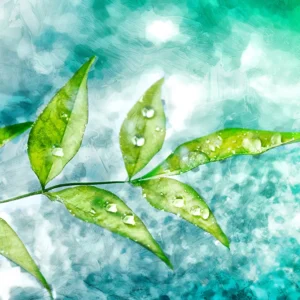 A green leafy branch set against an abstract background.
