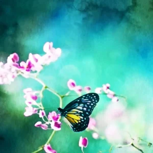 A delicate watercolor of a butterfly perched on small, pink blossoms.