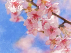 Macro pink botanical with textured sky background.