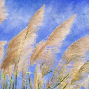 A macro of beach seagrass set against a vivid blue sky backdrop.