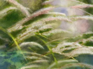 Tall grasses swaying gently with a soft sense of motion.