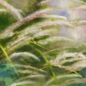 Tall grasses swaying gently with a soft sense of motion.