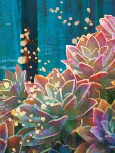Pink and green succulents glowing in the evening.