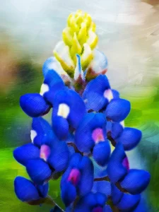 A striking bluebonnet takes center stage, set against a backdrop of rich, expressive brushstrokes.