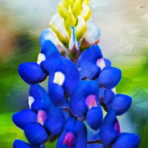 A striking bluebonnet takes center stage, set against a backdrop of rich, expressive brushstrokes.
