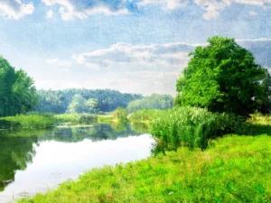 Lush riverside landscape with vibrant greenery, calm water, and soft sunlight.