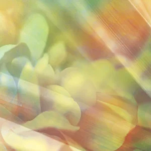 Abstract floral in soft green, gold, and teal with blurred petals and light streaks.