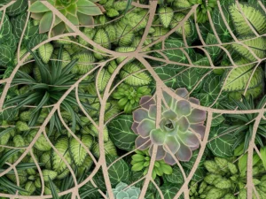 Lush green foliage and succulents interwoven with an intricate, leaf-shaped lattice design.