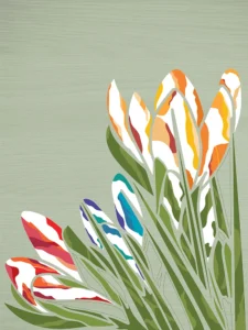 Tones of red, blue, and gold crocus flowers with layered green leaves on a muted sage background.