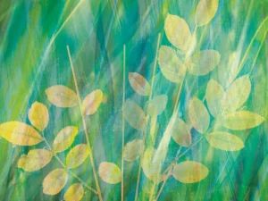 Soft yellow leaves float over a field of green.