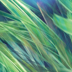 Natural elements meet abstraction in an immersive blur of green and blue grass blades.