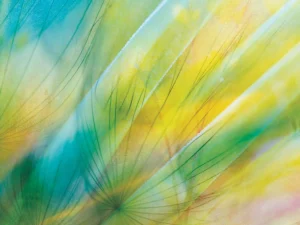 Gently blurred macro dandelions with green and gold accents.