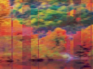 Vibrant abstract of autumn foliage reflected on water, layered with vertical translucent stripes for a dynamic, painterly effect.