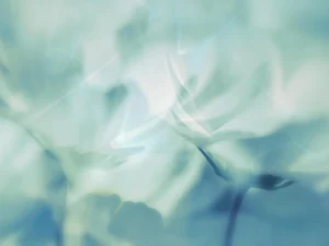 Gently abstracts, soft floral forms in cool blue and mint tones.