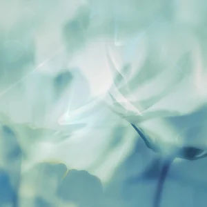 Gently abstracts, soft floral forms in cool blue and mint tones.