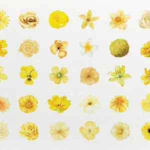 A grid-style composition featuring a gentle bouquet of yellow-toned flowers.