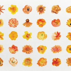 A grid-style composition featuring a gentle bouquet of orange-toned flowers.