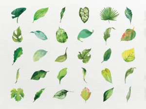 A grid-style composition featuring a gentle bouquet of green-toned botanicals.