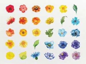 A grid-style composition featuring a rainbow bouquet.