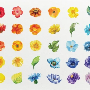 A grid-style composition featuring a rainbow bouquet.