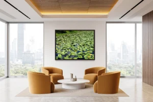 Expansive lily pad pond glowing with sunlight, reflections, and lush tranquility.