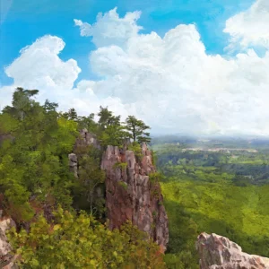 Towering cliffs with pine trees overlook a vast, lush forest under blue skies.