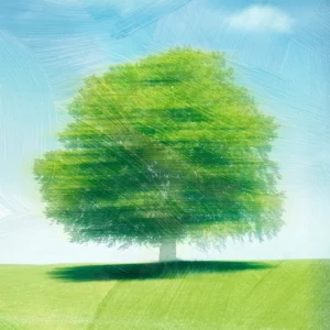 Bright green tree rises proudly in open field under a clear sky.