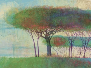 Contemplative trees basking in the warmth of a sunny day.