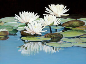 White lilies float serenely, their reflections shimmering on calm, glassy waters.