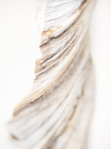 Soft ridges curve gracefully, revealing organic textures shaped by time and nature.