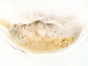 Soft golden tones reveal organic textures, evoking warmth within a delicate shell.