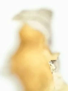 Soft golden tones embrace a textured edge, merging organic form with light.