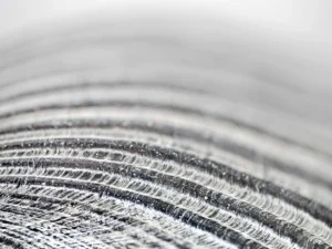 Curved ridges shimmer in silvery hues, revealing intricate natural shell textures.