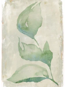 Soft watercolor leaves emerge delicately, fading edges evoke tranquility and gentle stillness.