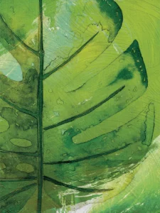 Bold green monstera leaf spreads wide, textured veins highlighting tropical vitality.