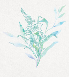Blue-green watercolor leaves surround outlined blossoms, merging softness with graceful floral detail.