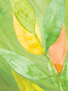 Vivid yellow, green, and coral leaves overlap, radiating warmth and natural energy.
