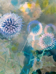 Radiant thistle blooms glow in cool blues, set against ethereal abstract textures.
