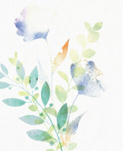Delicate stems rise upward, crowned by blossoms of watercolor light and airy grace.