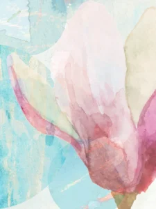 Pink petals peel open under the warming sunrays of a bright day.