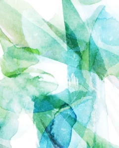 Fern blades gleam over one another through dappled light.