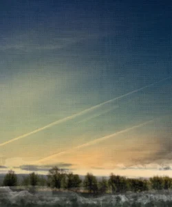 Silhouetted trees rest beneath streaked skies fading from golden light to deep blue.