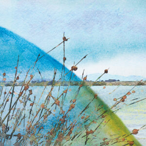 The scenic view of a lakeside through wayward reeds bisected by night and day.