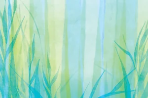 Mellow ferns and tall weeds trail through rays of warm light.