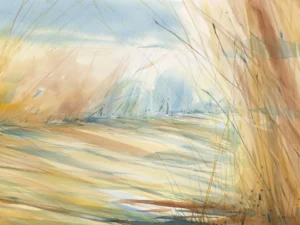 A broad earthen path curves through tall mottled grass, dappled in warm light.