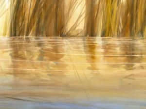 Contemplative, concentric ripples distort the reflection of golden grass in a hidden pond.