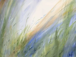 Sunlight and shadow spear through wild grass dancing in a light breeze.