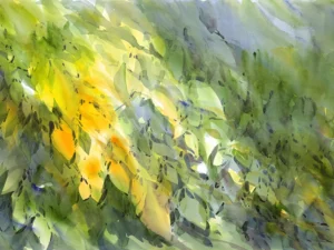 Sunlit, lush foliage begins to turn with the season.