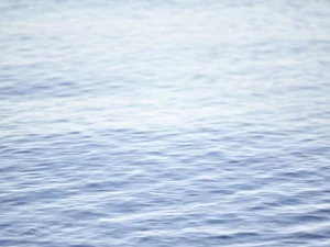 Gentle ripples shimmer softly across blue water, reflecting peace and endless motion.